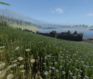Life is Feudal