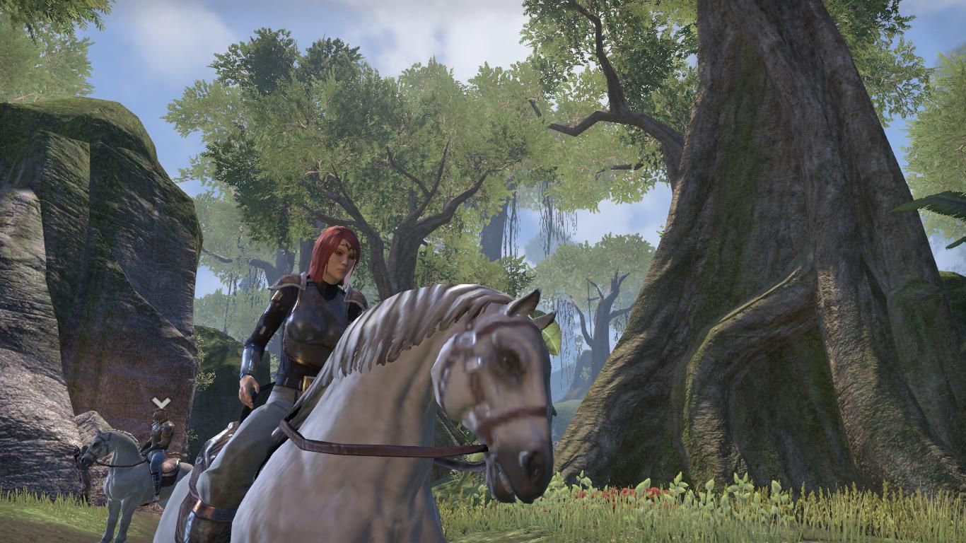 Elder Scrolls Online One Month On