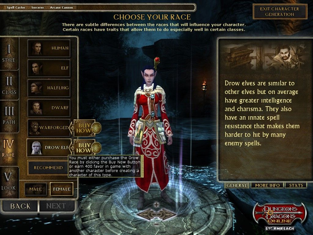 Dungeons and Dragons Online Review - MMOGames.com