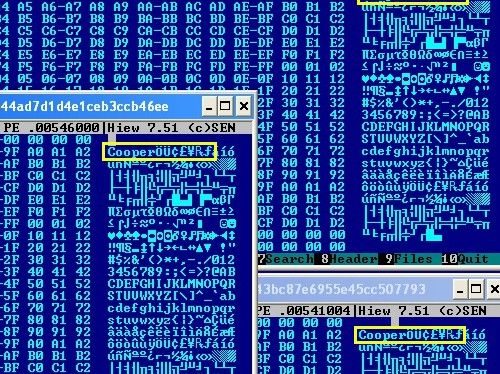 Evidence of the malware
