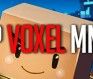 Best Voxel MMOs