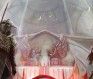 Shards Online: The Road Ahead -