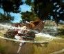 Black Desert Valkyrie - MMOGames.com - Your source for MMOs & MMORPGs