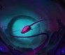 Interloper