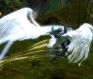 guild wars 2 heart of thorns beta - MMOGames.com - Your source for MMOs & MMORPGs