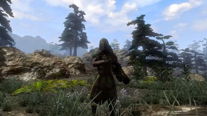 The Repopulation