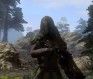 The Repopulation