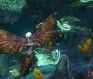 everquest 2