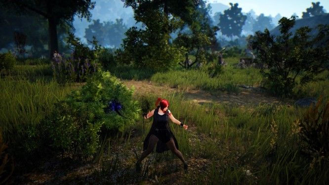 Black Desert Online