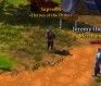 Shards Online Interview