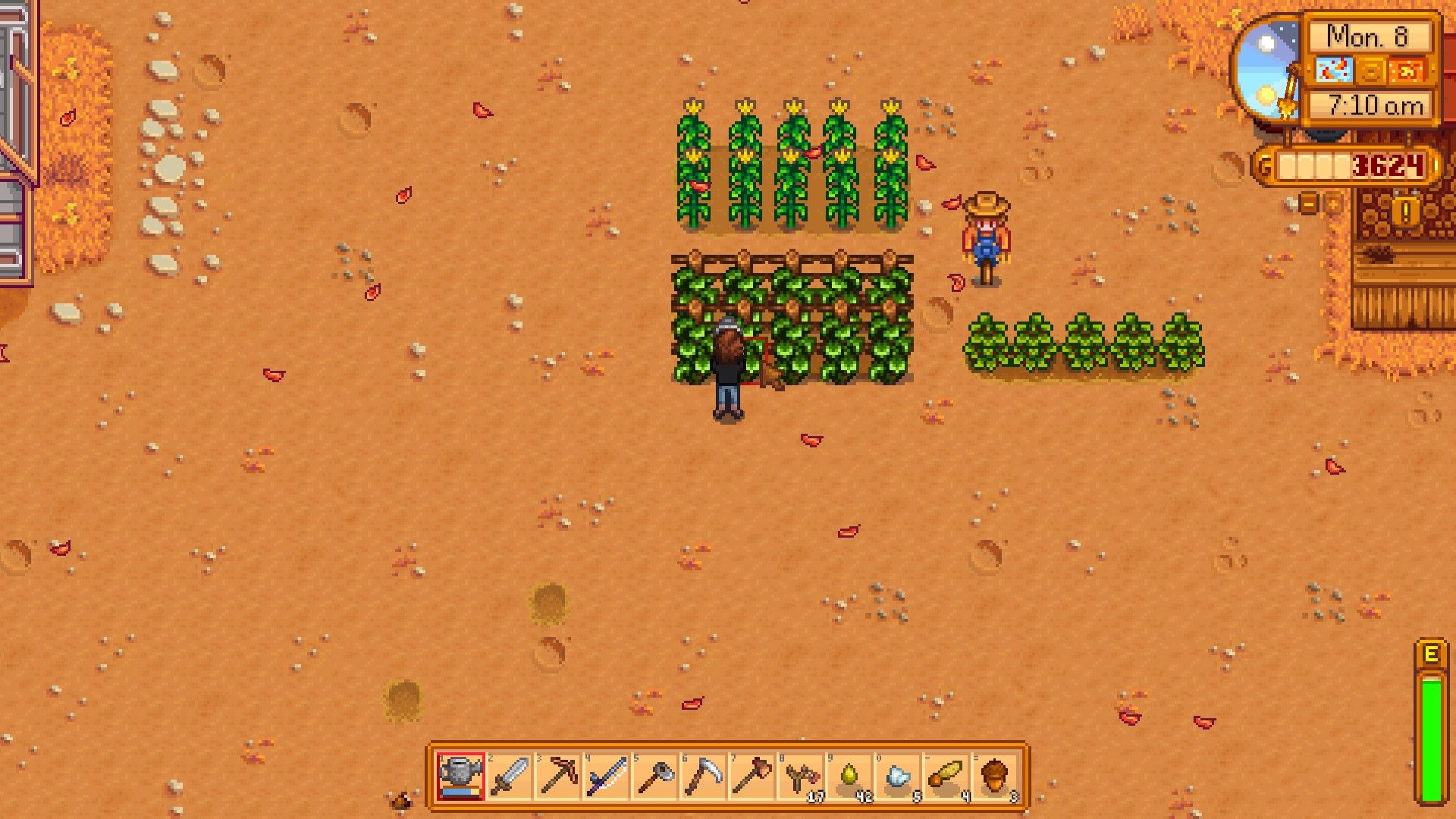 Stardew Valley Review