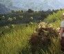 Beginner Crafting Tips For Black Desert Online