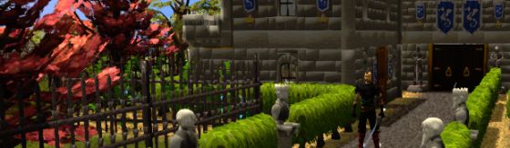 Runescape Adventurer Banner