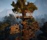 black desert pay to win