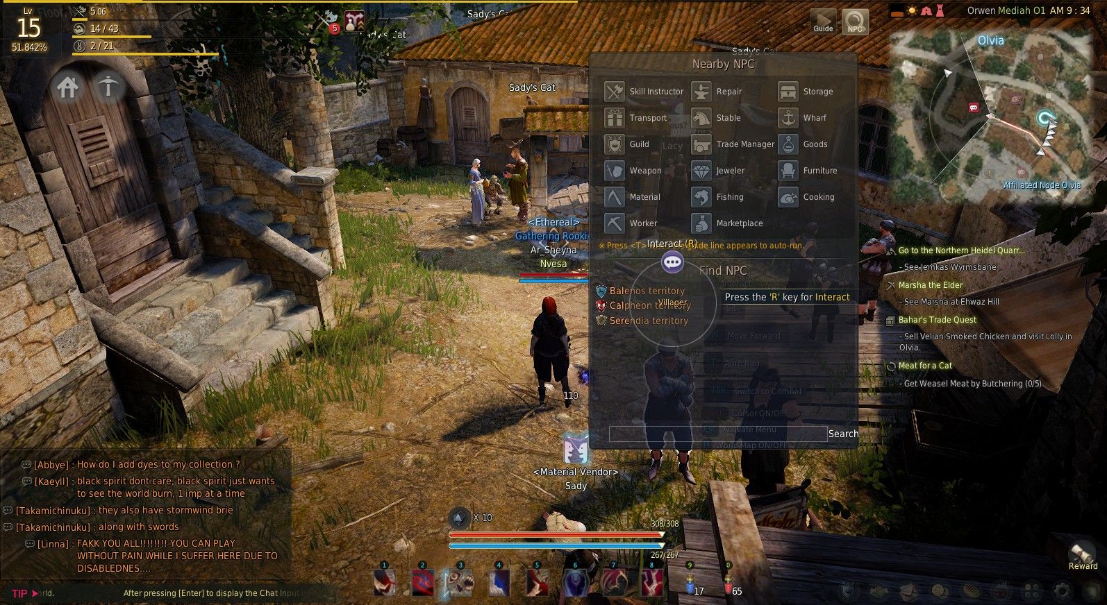 Guide to the Black Desert UI