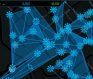 Top Ingress Player Died