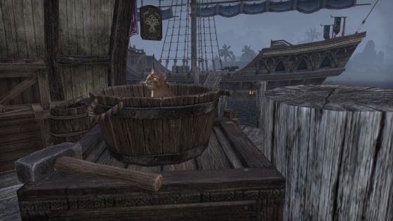 Screenshot_20150725_224236