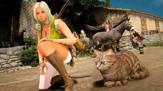 black desert online bdo cat mmorpg