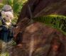 guild wars 2 jumping puzzles