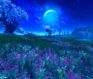 Midnight Skypetal Plains Raid