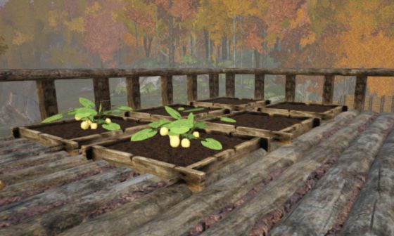 ark-garden