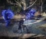 black desert