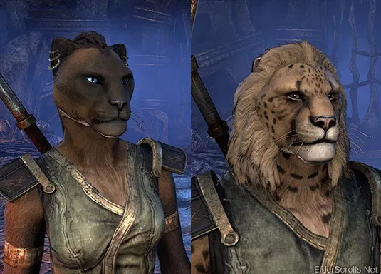furry races