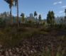 life is feudal MMO Interview