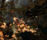 The Forest Preview