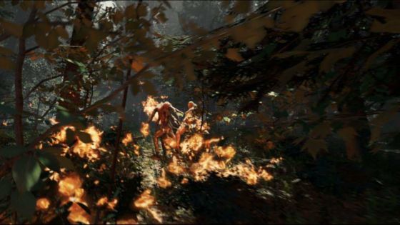 the forest 0.52b steam not instalized the forest 0.52b steam not instalized