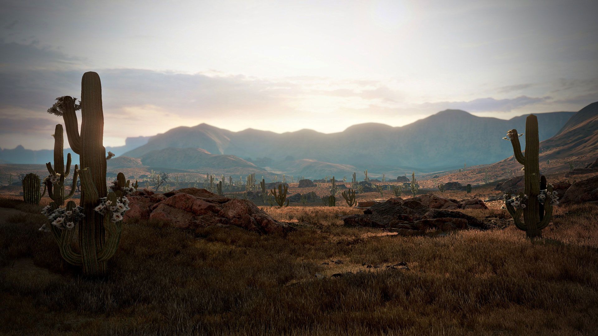 Wild West Online Wild West Online