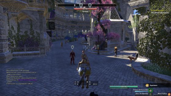 so many quests