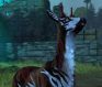 Neverwinter Suratuk’s Banded Fawn PlayStation 4 Giveaway