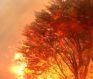 Ashes of Creation: Apocalypse