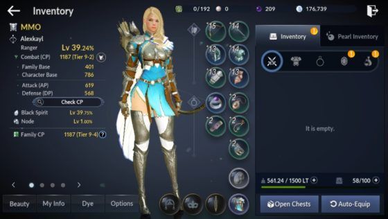 Black Desert Mobile Review Character Info