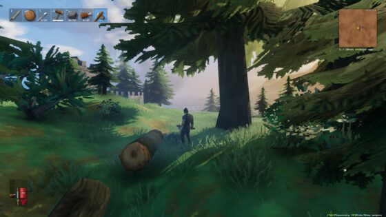 Valheim MMO
