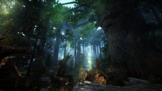 Black Desert on PS5